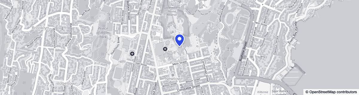 Street map around Te Hopai