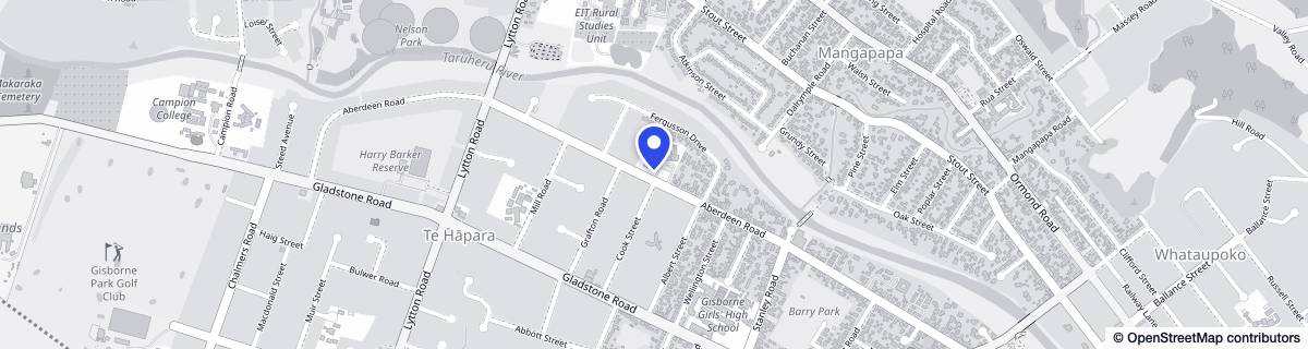 Street map around Te Wiremu House Lifecare & Village